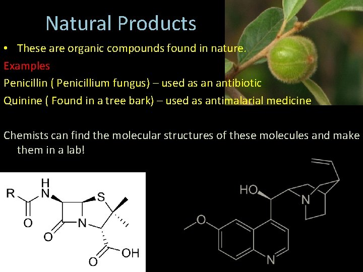 Natural Products • These are organic compounds found in nature. Examples Penicillin ( Penicillium