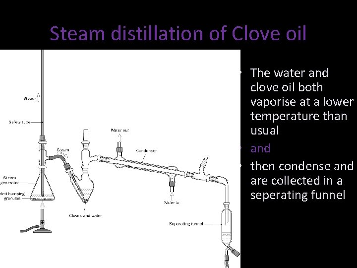 Steam distillation of Clove oil • The water and clove oil both vaporise at