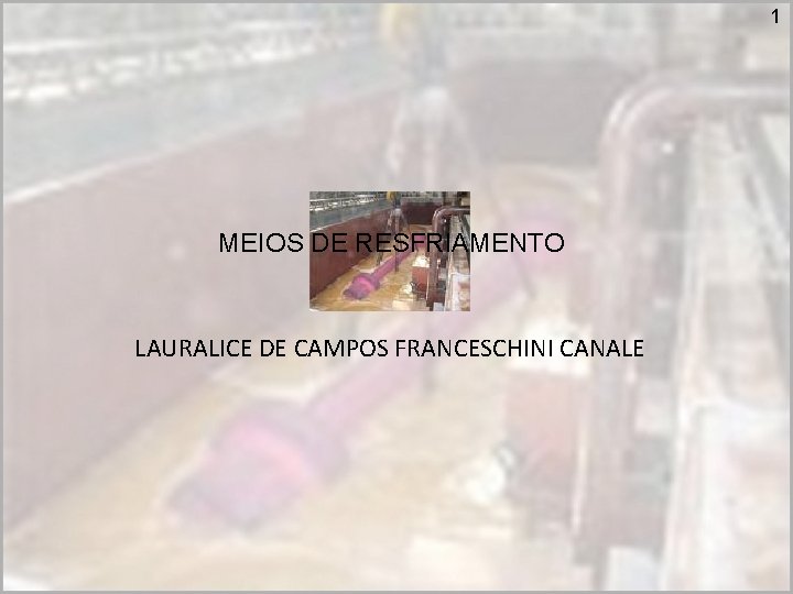 1 MEIOS DE RESFRIAMENTO LAURALICE DE CAMPOS FRANCESCHINI CANALE 