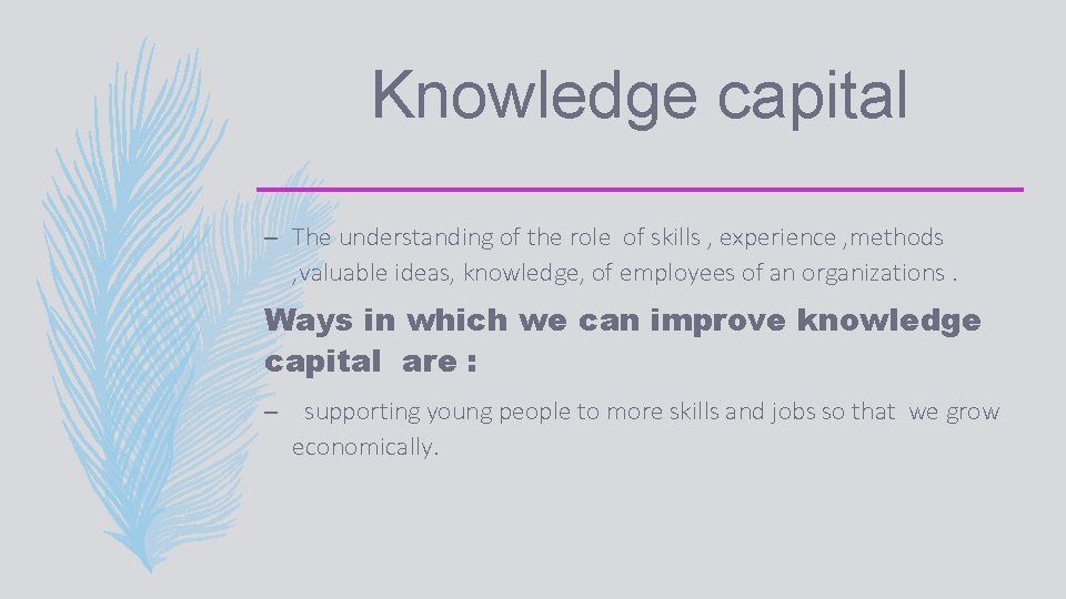 Knowledge capital – The understanding of the role of skills , experience , methods