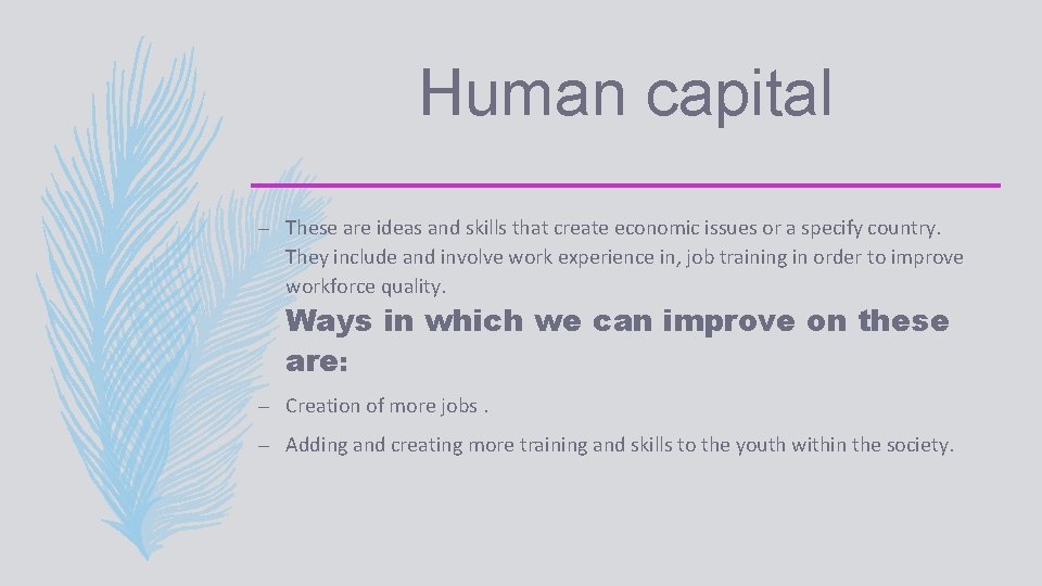 Human capital – These are ideas and skills that create economic issues or a
