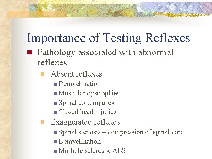 Importance of Testing Reflexes n Pathology associated with abnormal reflexes n Absent reflexes n