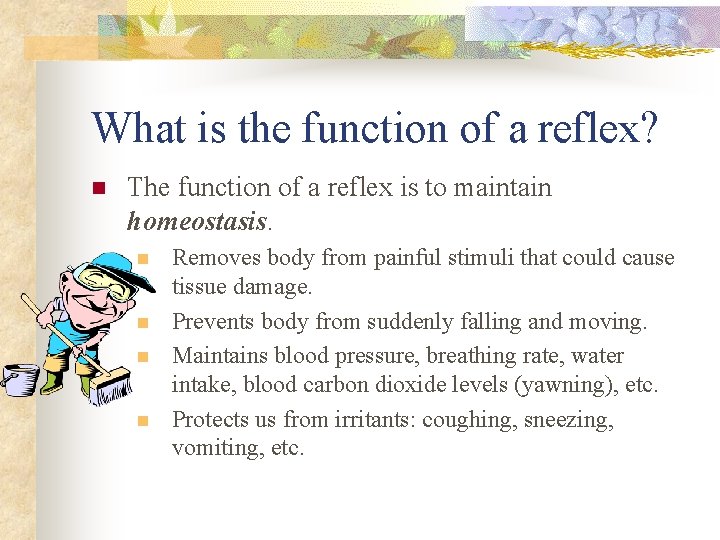 What is the function of a reflex? n The function of a reflex is