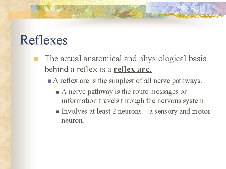 Reflexes n The actual anatomical and physiological basis behind a reflex is a reflex