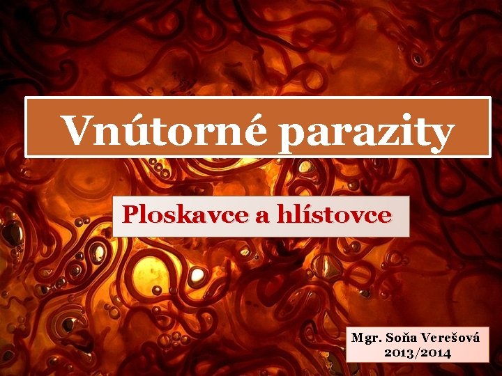 Vnútorné parazity Ploskavce a hlístovce Mgr. Soňa Verešová 2013/2014 