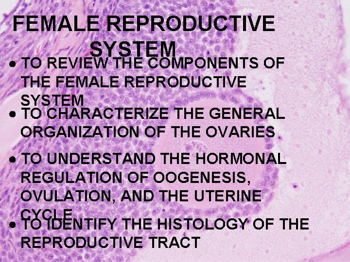 FEMALE REPRODUCTIVE SYSTEM TO REVIEW THE COMPONENTS OF THE FEMALE REPRODUCTIVE SYSTEM TO CHARACTERIZE