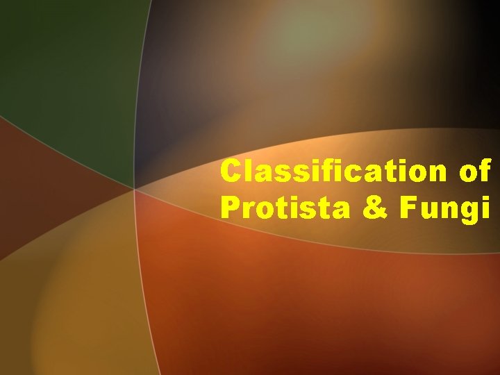 Classification of Protista & Fungi 