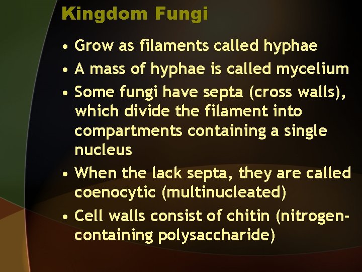 Kingdom Fungi • Grow as filaments called hyphae • A mass of hyphae is