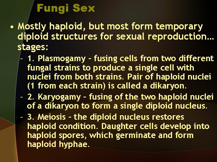 Fungi Sex • Mostly haploid, but most form temporary diploid structures for sexual reproduction…