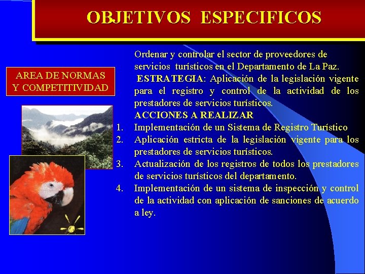 OBJETIVOS ESPECIFICOS AREA DE NORMAS Y COMPETITIVIDAD 1. 2. 3. 4. Ordenar y controlar