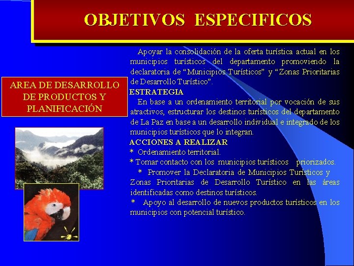 OBJETIVOS ESPECIFICOS AREA DE DESARROLLO DE PRODUCTOS Y PLANIFICACIÓN Apoyar la consolidación de la