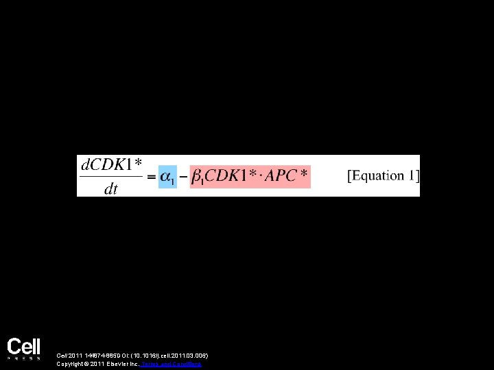 Cell 2011 144874 -885 DOI: (10. 1016/j. cell. 2011. 03. 006) Copyright © 2011