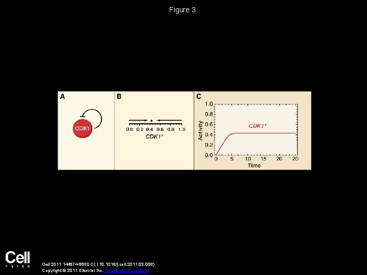 Figure 3 Cell 2011 144874 -885 DOI: (10. 1016/j. cell. 2011. 03. 006) Copyright