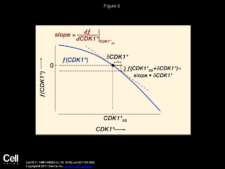 Figure 6 Cell 2011 144874 -885 DOI: (10. 1016/j. cell. 2011. 03. 006) Copyright