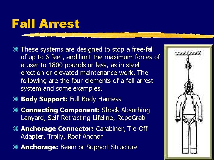 Fall Arrest z These systems are designed to stop a free-fall of up to