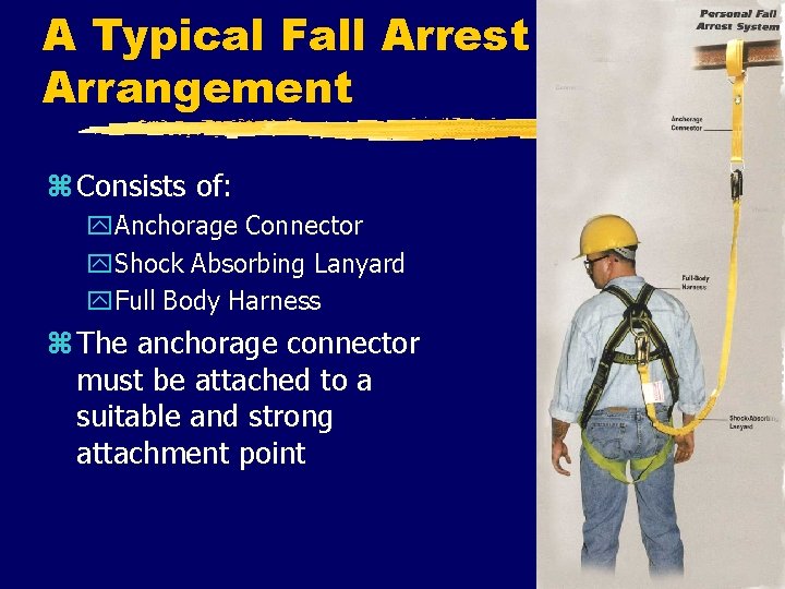 A Typical Fall Arrest Arrangement z Consists of: y. Anchorage Connector y. Shock Absorbing