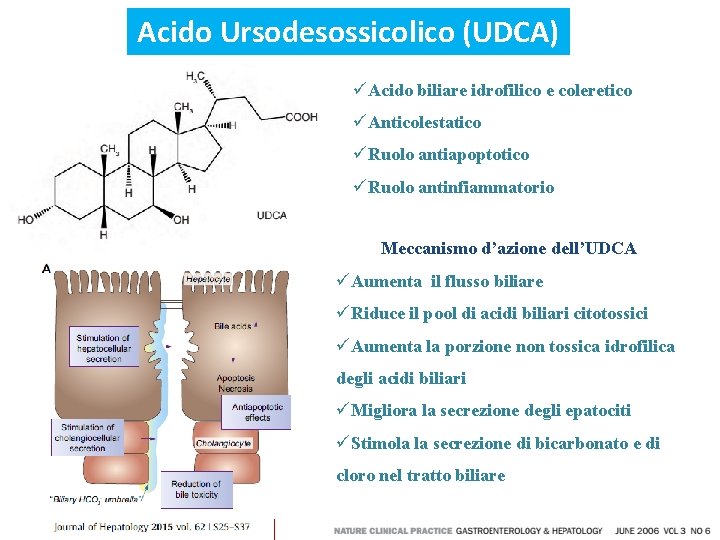 Acido Ursodesossicolico (UDCA) üAcido biliare idrofilico e coleretico üAnticolestatico üRuolo antiapoptotico üRuolo antinfiammatorio Meccanismo