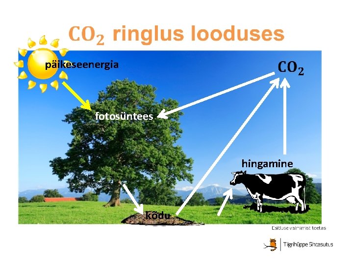 päikeseenergia fotosüntees hingamine kõdu 