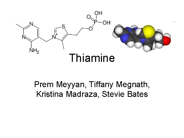 Thiamine Prem Meyyan, Tiffany Megnath, Kristina Madraza, Stevie Bates 