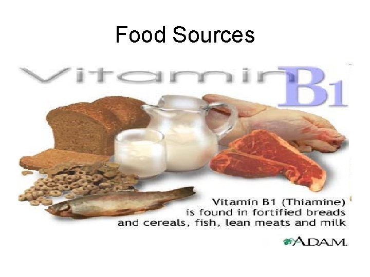 Food Sources 
