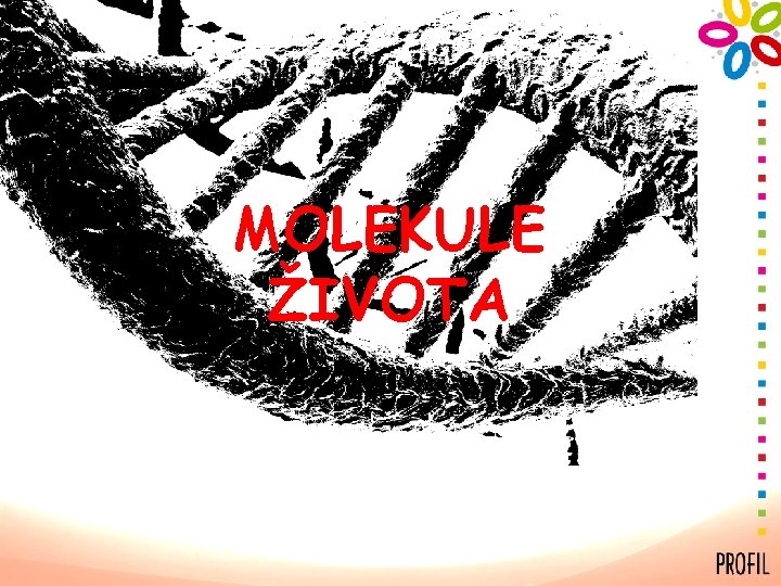 MOLEKULE ŽIVOTA 