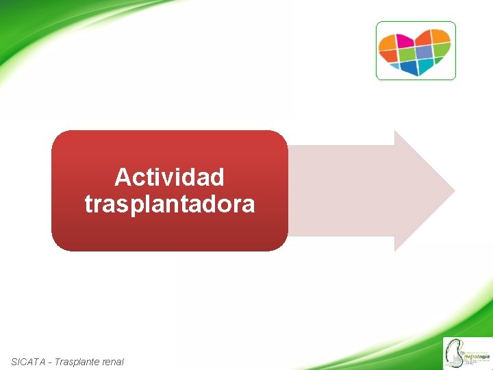 Actividad trasplantadora SICATA - Trasplante renal 