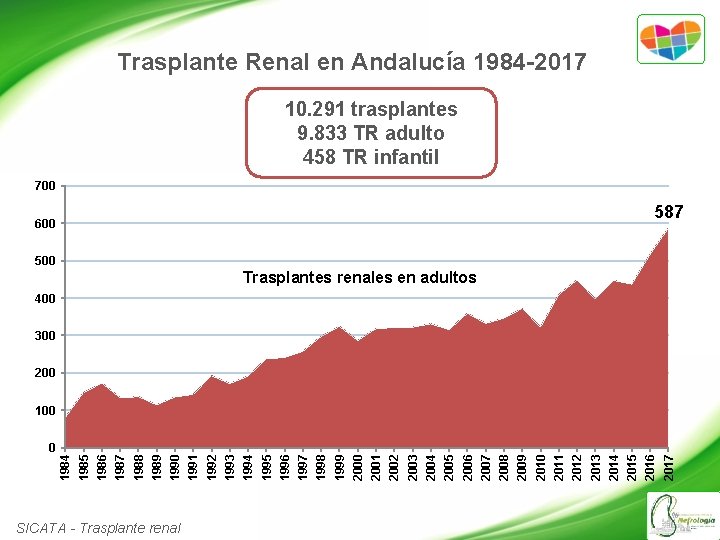Trasplante Renal en Andalucía 1984 -2017 10. 291 trasplantes 9. 833 TR adulto 458