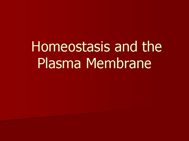 Homeostasis and the Plasma Membrane 