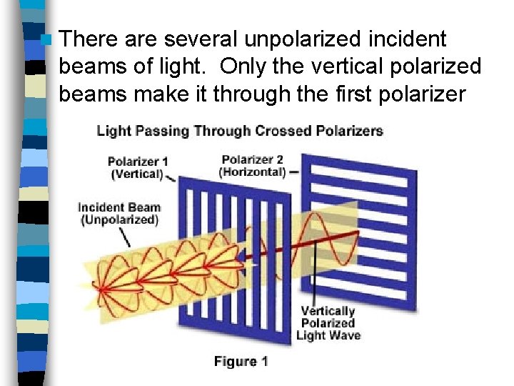 n There are several unpolarized incident beams of light. Only the vertical polarized beams