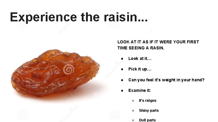 Experience the raisin. . . LOOK AT IT AS IF IT WERE YOUR FIRST