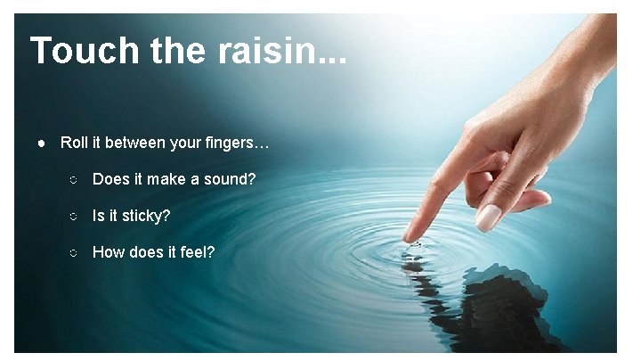 Touch the raisin. . . ● Roll it between your fingers… ○ Does it
