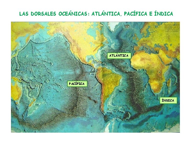 LAS DORSALES OCEÁNICAS: ATLÁNTICA, PACÍFICA E ÍNDICA ATLÁNTICA PACÍFICA ÍNDICA LAS DORSALES OCEÁNICAS: ATLÁNTICA, PACÍFICA E ÍNDICA ATLÁNTICA PACÍFICA ÍNDICA
