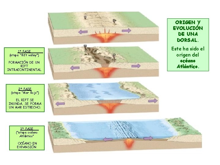 ORIGEN Y EVOLUCIÓN DE UNA DORSAL. 1ª FASE (etapa “Rift valley”) FORMACIÓN DE UN ORIGEN Y EVOLUCIÓN DE UNA DORSAL. 1ª FASE (etapa “Rift valley”) FORMACIÓN DE UN