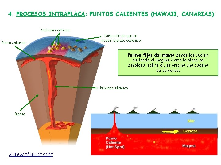 4. PROCESOS INTRAPLACA: PUNTOS CALIENTES (HAWAII, CANARIAS) Volcanes activos Punto caliente Dirección en que 4. PROCESOS INTRAPLACA: PUNTOS CALIENTES (HAWAII, CANARIAS) Volcanes activos Punto caliente Dirección en que