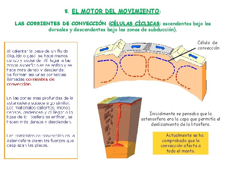 5. EL MOTOR DEL MOVIMIENTO: LAS CORRIENTES DE CONVECCIÓN (CÉLULAS CÍCLICAS: ascendentes bajo las 5. EL MOTOR DEL MOVIMIENTO: LAS CORRIENTES DE CONVECCIÓN (CÉLULAS CÍCLICAS: ascendentes bajo las