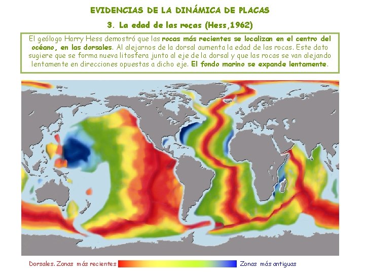 EVIDENCIAS DE LA DINÁMICA DE PLACAS 3. La edad de las rocas (Hess, 1962) EVIDENCIAS DE LA DINÁMICA DE PLACAS 3. La edad de las rocas (Hess, 1962)