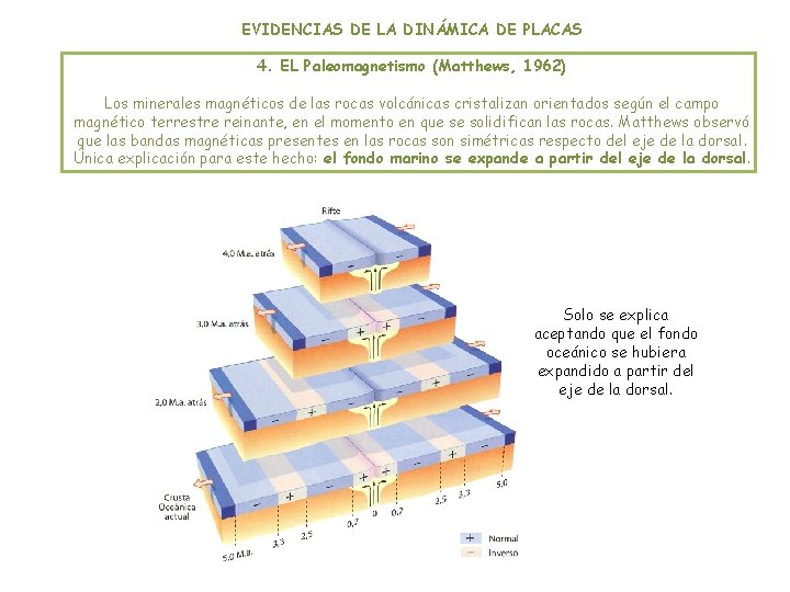 EVIDENCIAS DE LA DINÁMICA DE PLACAS 4. EL Paleomagnetismo (Matthews, 1962) Los minerales magnéticos EVIDENCIAS DE LA DINÁMICA DE PLACAS 4. EL Paleomagnetismo (Matthews, 1962) Los minerales magnéticos