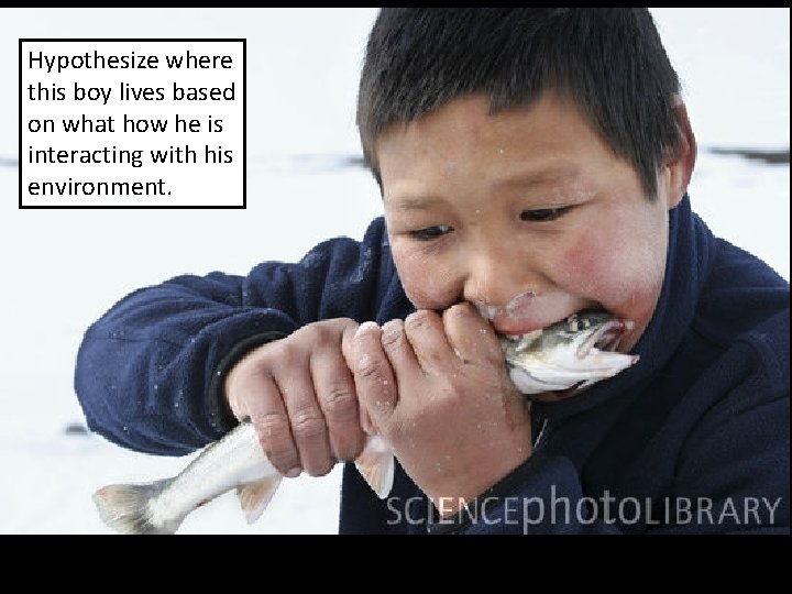 Hypothesize where this boy lives based on what how he is interacting with his Hypothesize where this boy lives based on what how he is interacting with his