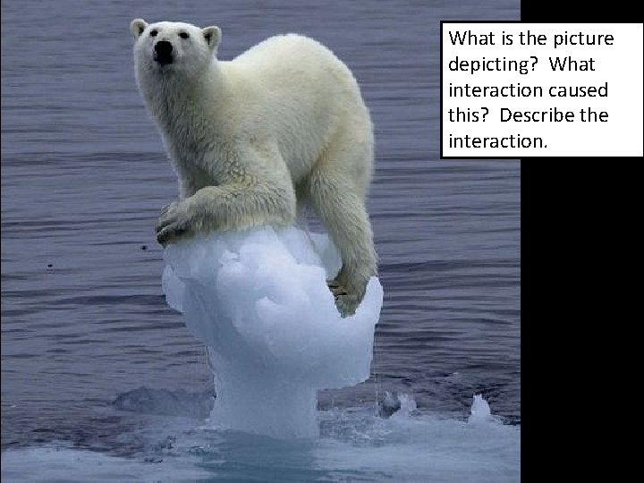 What is the picture depicting? What interaction caused this? Describe the interaction. What is the picture depicting? What interaction caused this? Describe the interaction.