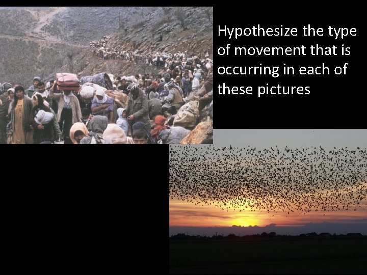 Hypothesize the type of movement that is occurring in each of these pictures Hypothesize the type of movement that is occurring in each of these pictures
