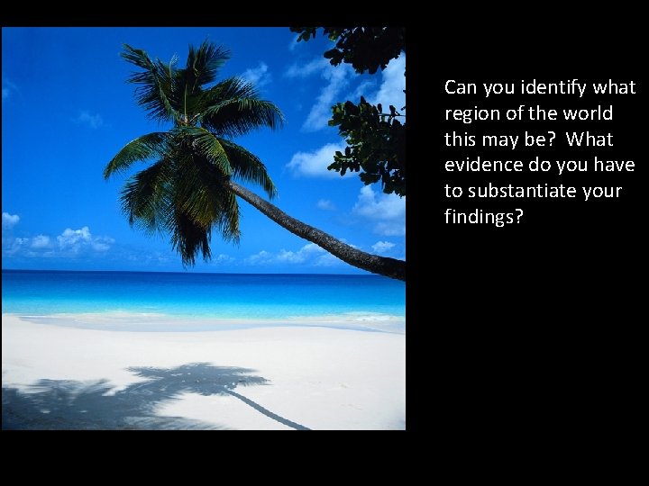 Can you identify what region of the world this may be? What evidence do Can you identify what region of the world this may be? What evidence do