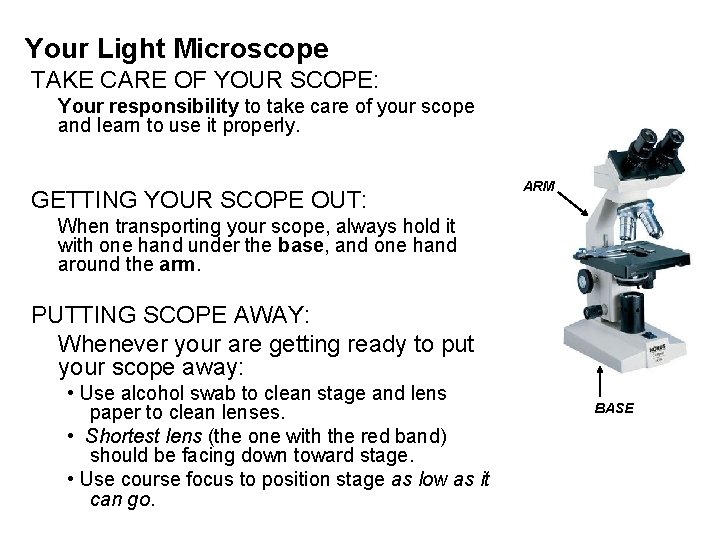 Your Light Microscope TAKE CARE OF YOUR SCOPE: Your responsibility to take care of