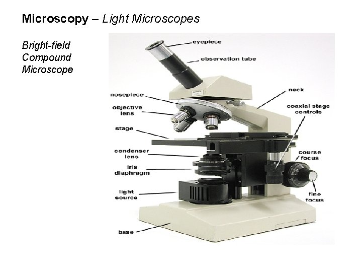 Microscopy – Light Microscopes Bright-field Compound Microscope 