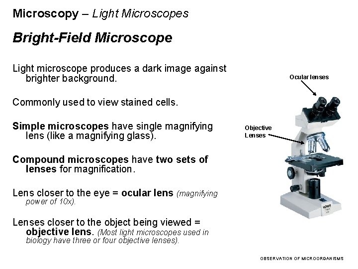 Microscopy – Light Microscopes Bright-Field Microscope Light microscope produces a dark image against brighter