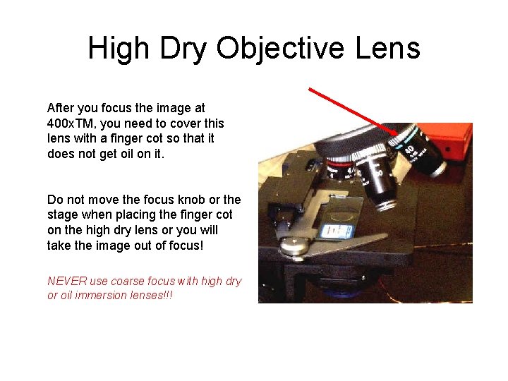 High Dry Objective Lens After you focus the image at 400 x. TM, you