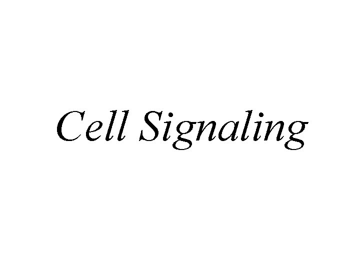 Cell Signaling 