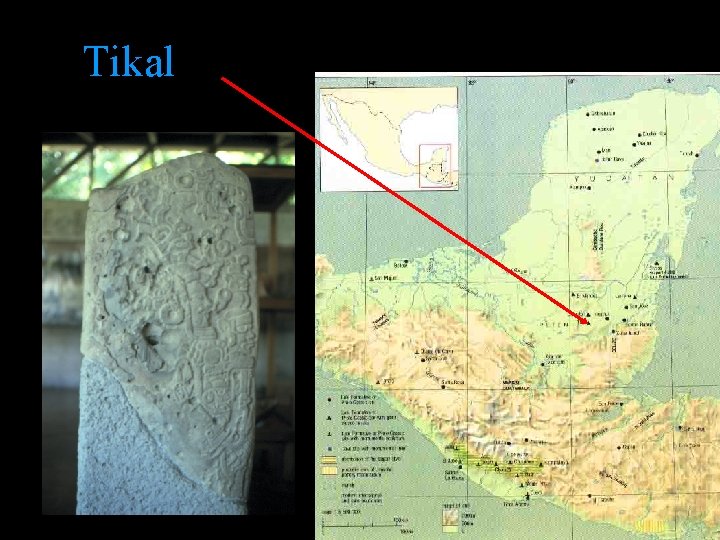 Tikal Tikal