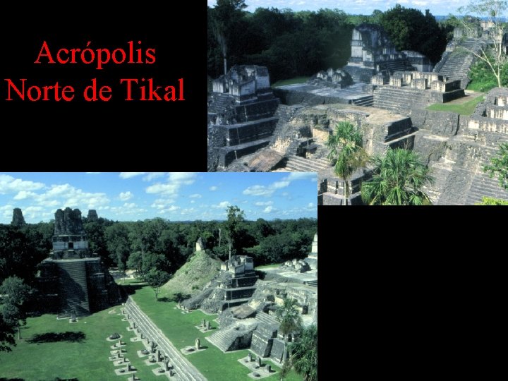 Acrópolis Norte de Tikal Acrópolis Norte de Tikal