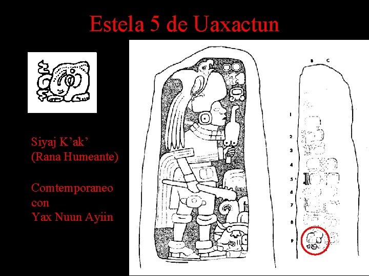 Estela 5 de Uaxactun Siyaj K’ak’ (Rana Humeante) Comtemporaneo con Yax Nuun Ayiin Estela 5 de Uaxactun Siyaj K’ak’ (Rana Humeante) Comtemporaneo con Yax Nuun Ayiin
