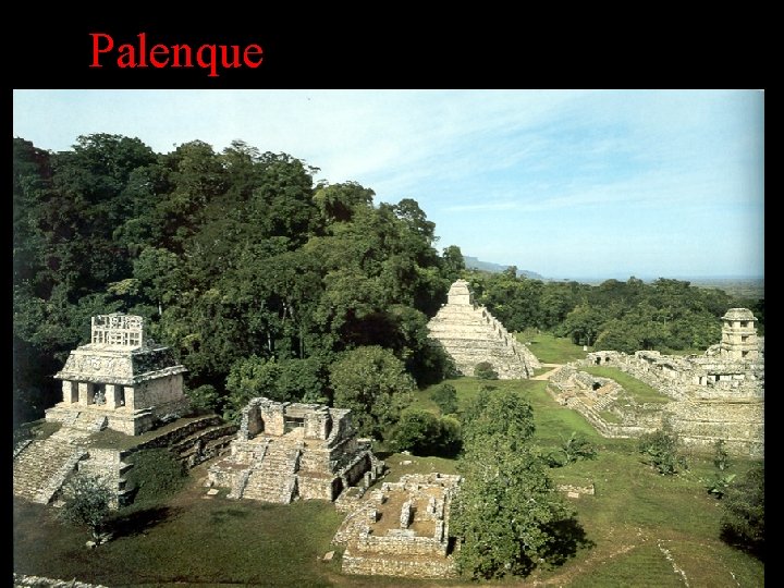 Palenque Palenque
